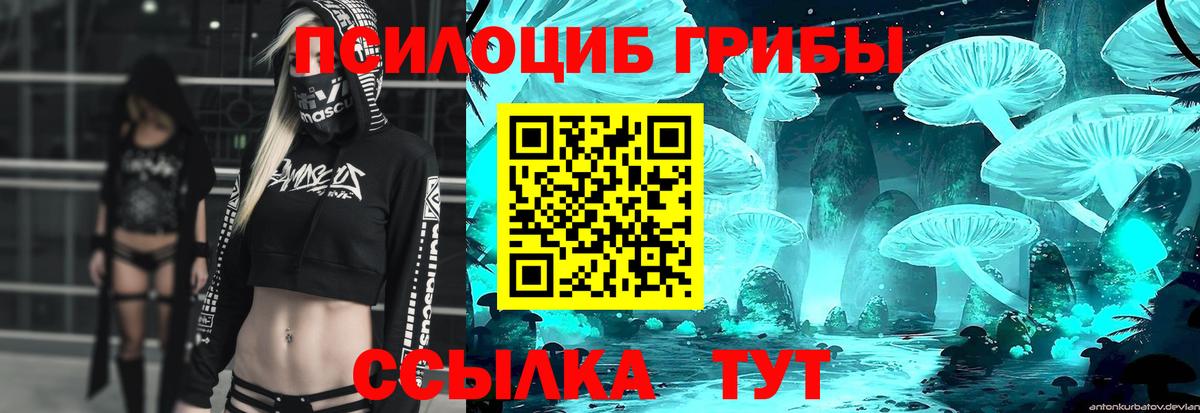 Галлюциногенные грибы Cubensis  Вход с VPN  купить наркотики сайты  Псилоцибиновые грибы MAGIC MUSHROOMS  Боровичи 